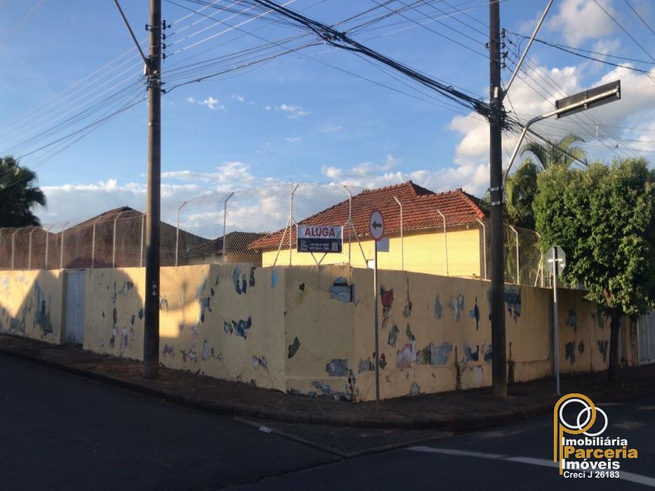 lucas evangelista .jpeg